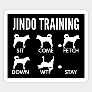 Jindo Training Korean Jindo Dog Tricks Magnet